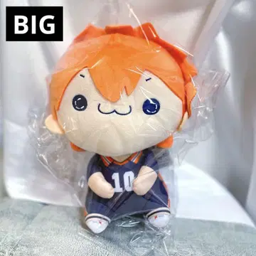 하이큐 모치피코 BIG 봉제 인형 히나타 쇼요