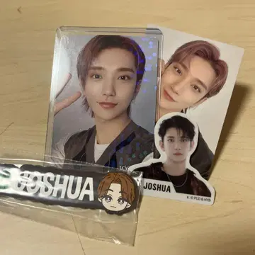SEVENTEEN JOSHUA 트레이딩 카드 씰 키링