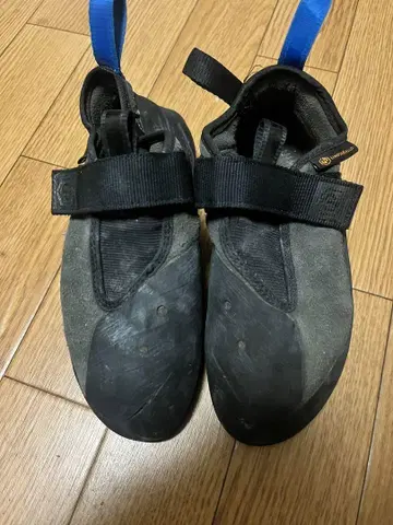 안파라렐 레글루스 US7.5