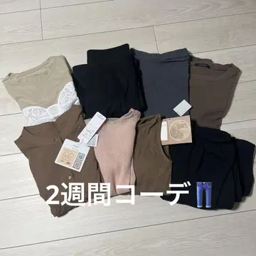 2주 코디 여성용