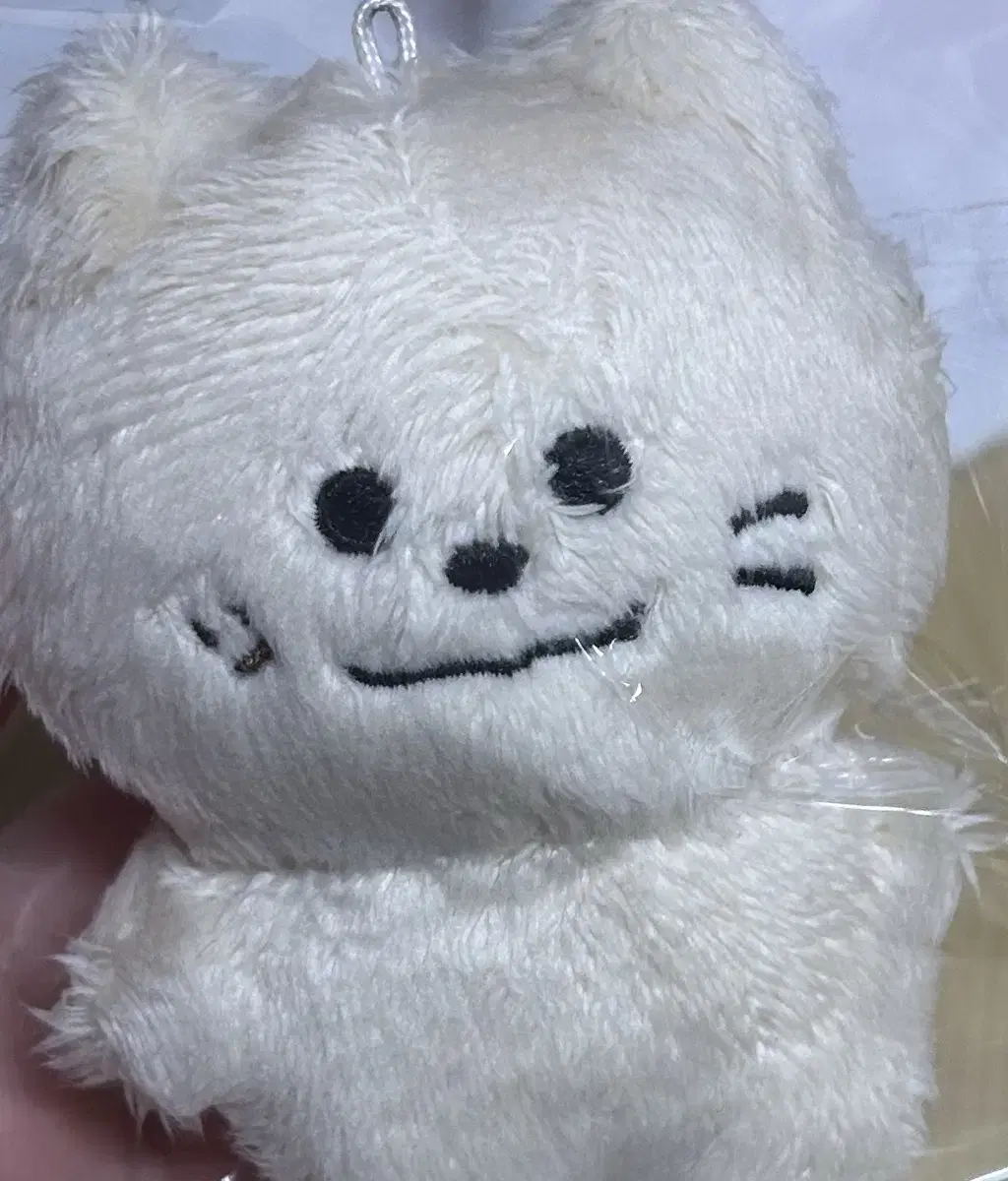 아스트로 문빈 모짜빈 양도