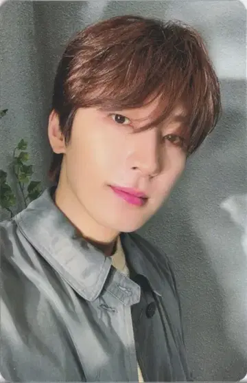 SEVENTEEN 일반ver WONWOO 유통기한