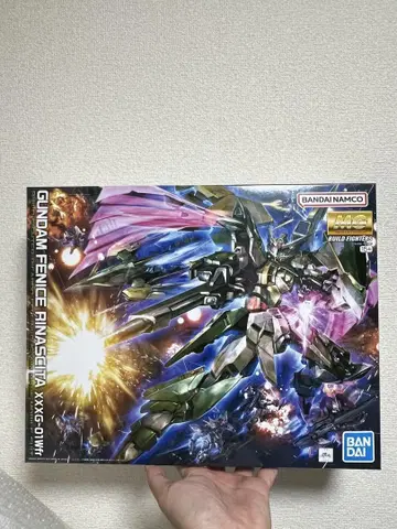 MG 1/100 건담 페니체 리나시타