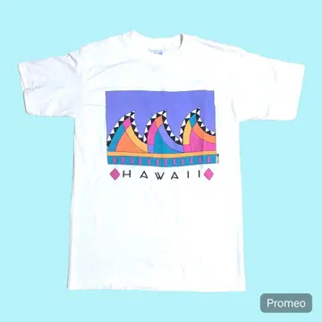 90'~ FRESH PRODUCE HAWAII 하와이 티셔츠 M