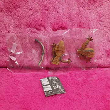 생물대도감 어드밴스 크레스티드 게코 02 할리퀸