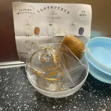 우리 아이는 아직 가챠가챠 브라운