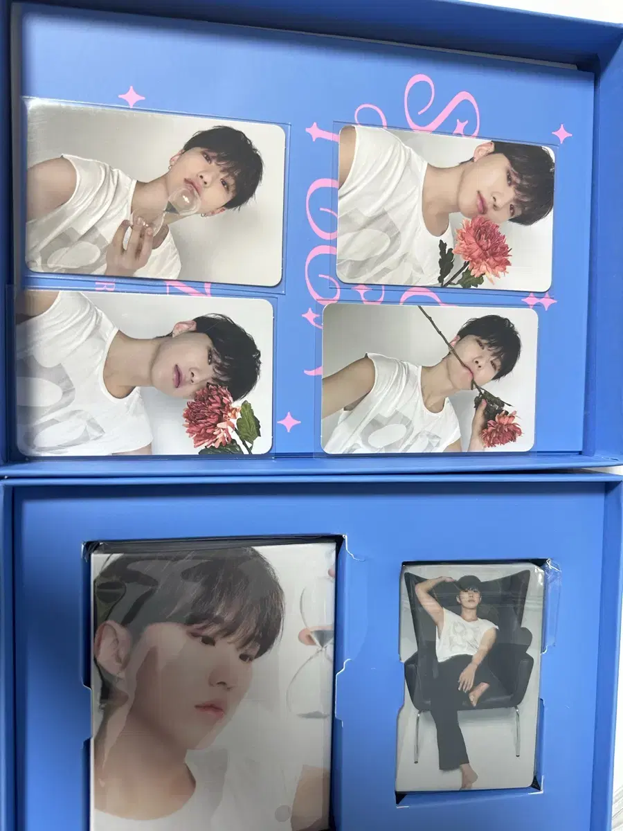 탈덕처분)세븐틴 베스트앨범 라잇히어 호시 캐럿반 판매합니다!