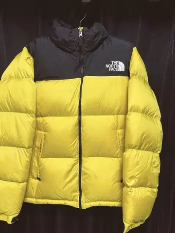 THE NORTH FACE 눕시 다운 자켓