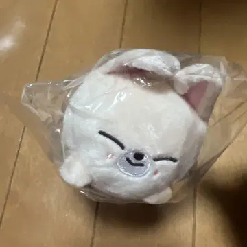 SKZOO 아이엔 FoxI.Ny 미니 백 참 팩시니