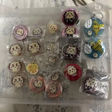 치이카와 시사 묶음 판매