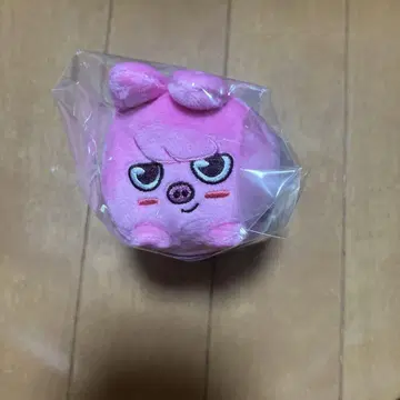 straykids SKZOO 백참 돼끼 찬빈