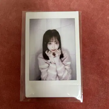 사쿠라바 하야카 디지털 폴라로이드