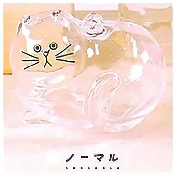 우리 집의 코케다마 노멀