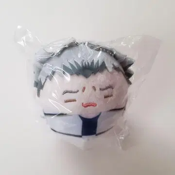 하이큐! 후와코로린 스페셜 보쿠토 코타로