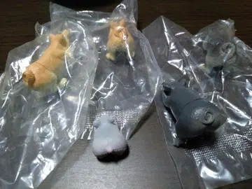 오시리아마루즈 세트