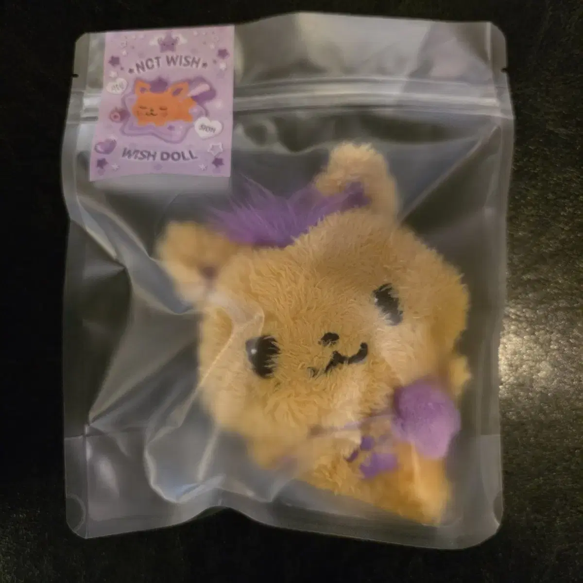Nct Wish Wishdoll Sealed Sioning Sio Doll wts