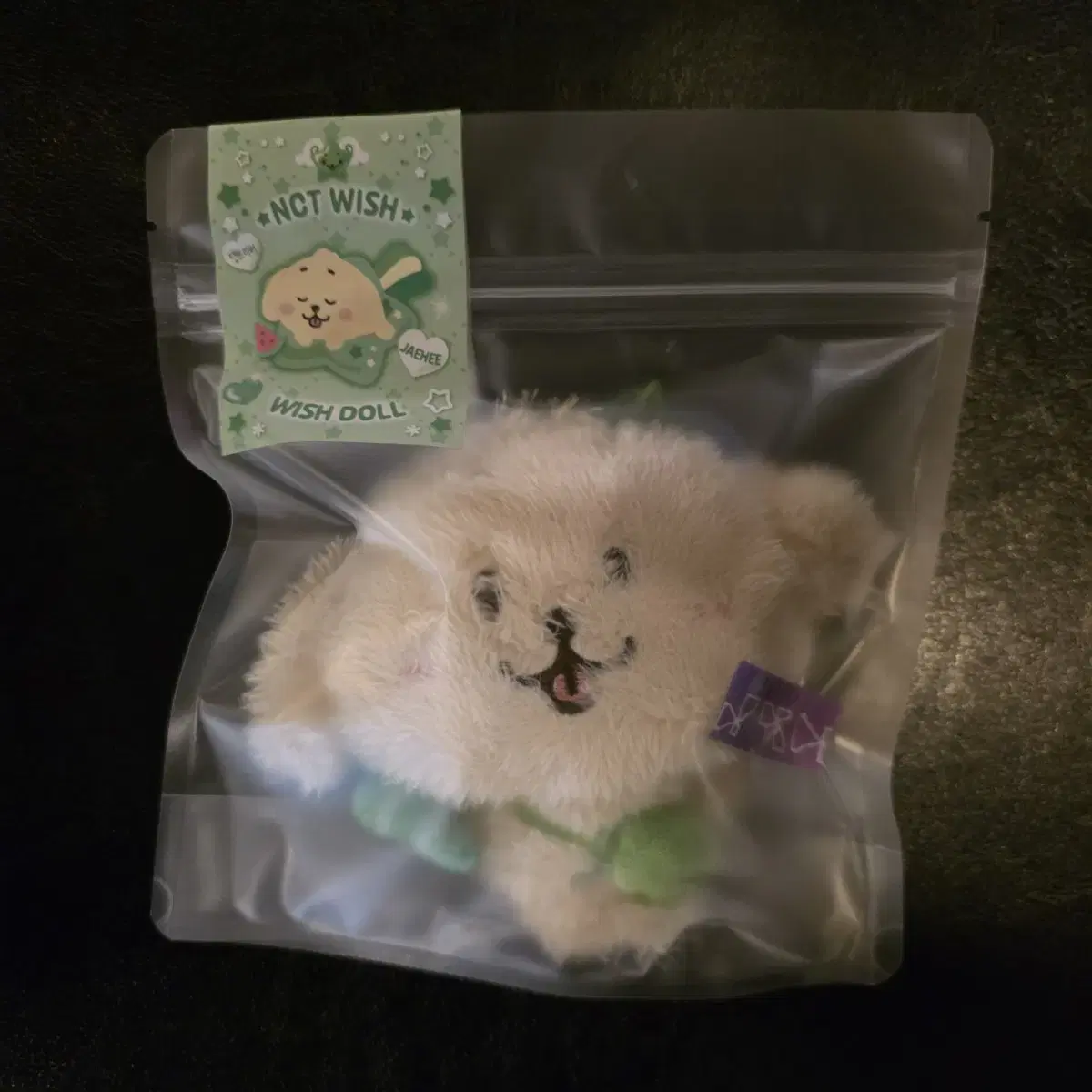 NCT | 엔시티 Nct Wish Wishdoll sealed Daengtriever Jaehee