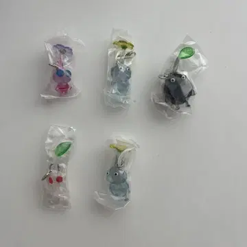 메지루시 액세서리 스트랩 5개 세트