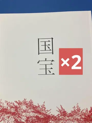 미사용 새상품 영화 국보 팜플렛 2권 요시자와 료 요코하마 유성 가부키