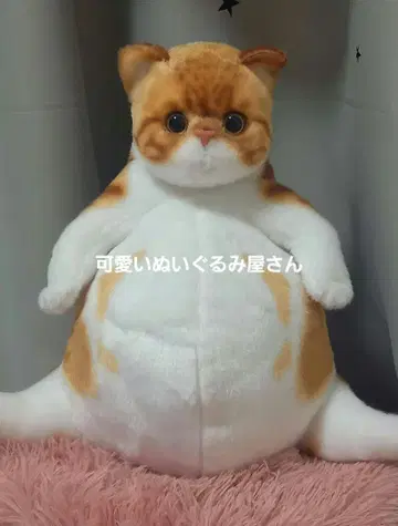 리얼 캣 만푸쿠 고양이 봉제 인형 애니멀 만치칸