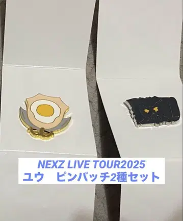 NEXZ LIVE TOUR2025 랜덤 핑 배치 유