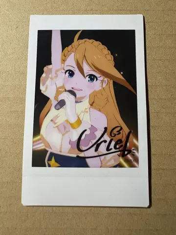 몬소니 폴라로이드 C 우리엘