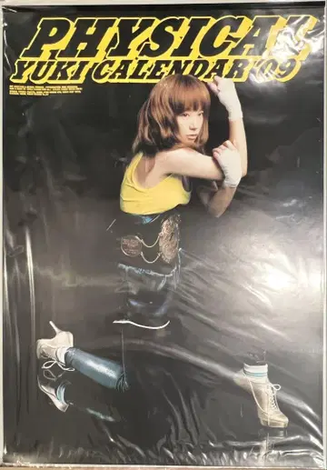 미사용 YUKI 달력 2009 ~physical~ 포스터 FC 한정판