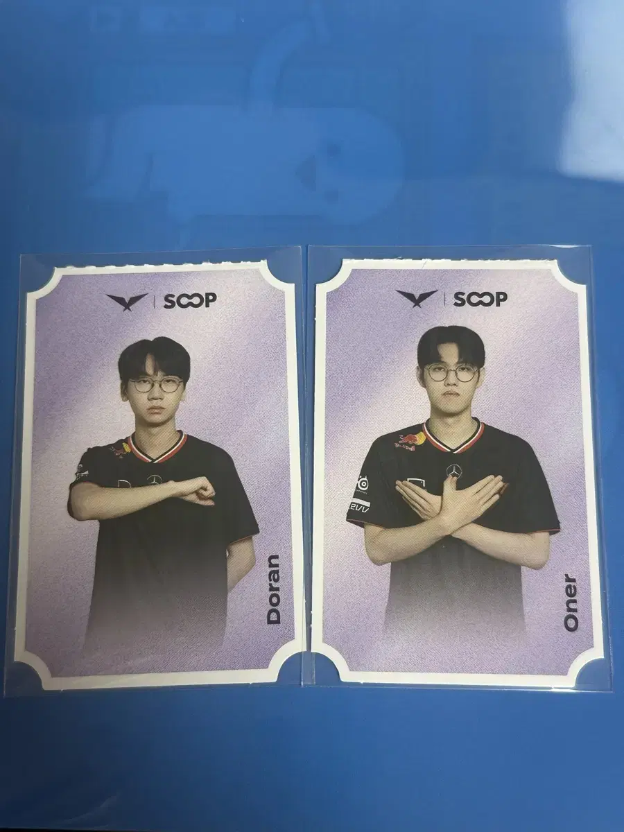 숲 포토카드 티원 도란 오너 포카