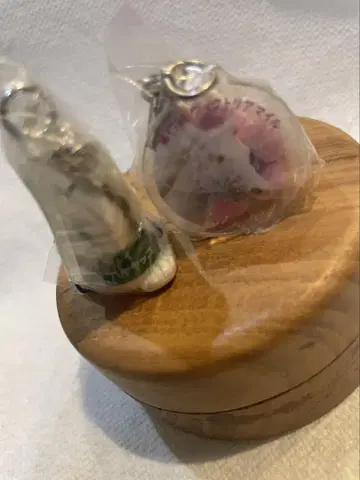 하야야코 & 소다시 아이돌 호스
