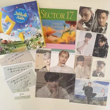 seventeen 세부치 준