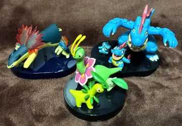 입체 포켓몬 도감 금은 삼대장 묶음 판매