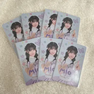 마사미오 M 카드