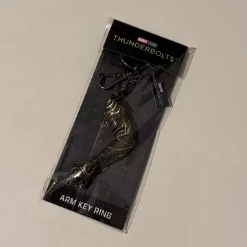 버키 암 키링