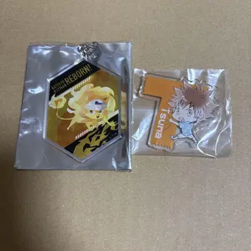 가정교사 히트맨 REBORN 사와다 츠나요시 아크릴 배지 점페스