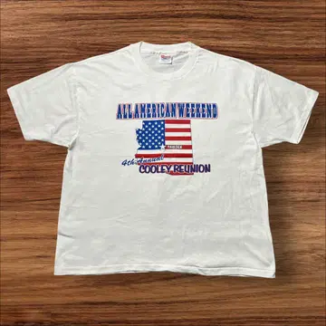 90s Hanes 티셔츠 USA제 성조기 빈티지 화이트