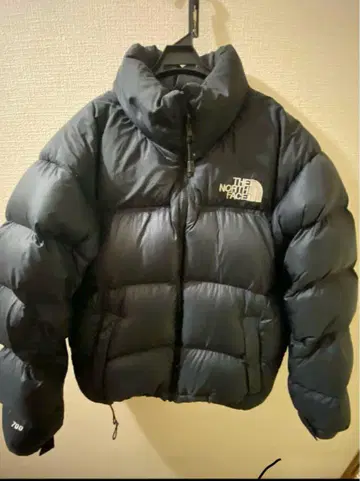 THE NORTH FACE 블랙 다운 자켓