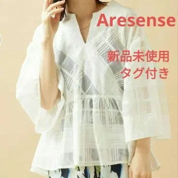 Aresense 아렌스 체크 시스루 플레어 슬리브 블라우스