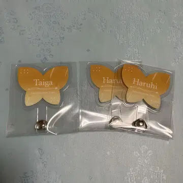 브레마이 1주년 폰 탭 츠키모토 이치카와