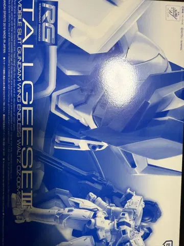 RG 톨기스 III 1/144