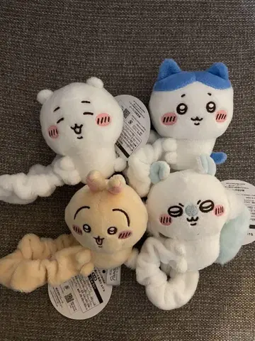 치이카와 (먼작귀) 스크런치 4종 세트