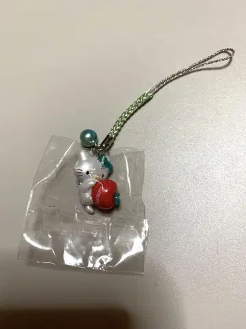 지역 키티 차미 키티 신슈 한정판
