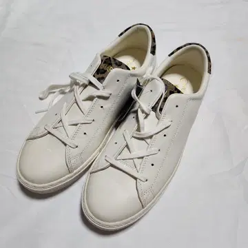 CONVERSE 컨버스 포인트 애니멀