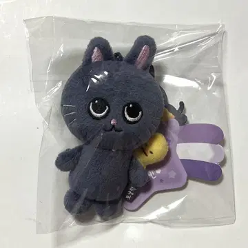 RIIZE 팝업 8cm 키링 토냐드 웬빈