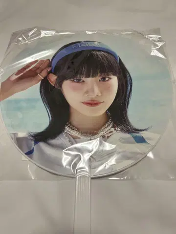 이타 시즈키 BIG 부채