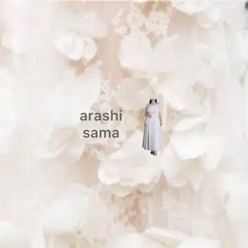 원피스 arashi sama