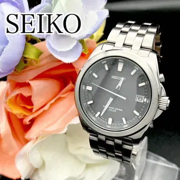 작동 손목시계 SEIKO 세이코 솔라 남성용 데이트 티타늄 E20