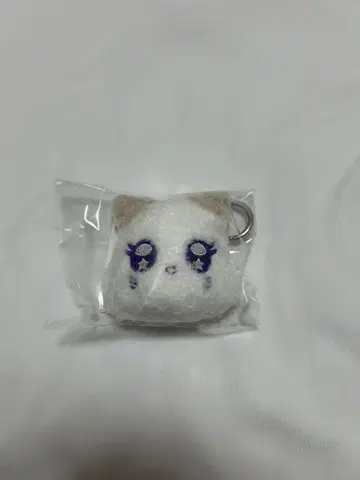 이이다 시즈키 미야이 TSUKI