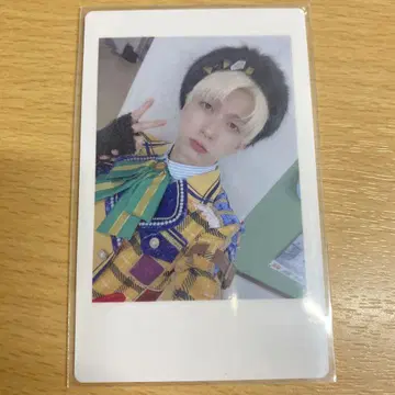 팬더 드래곤 요타 하피카 나이트비