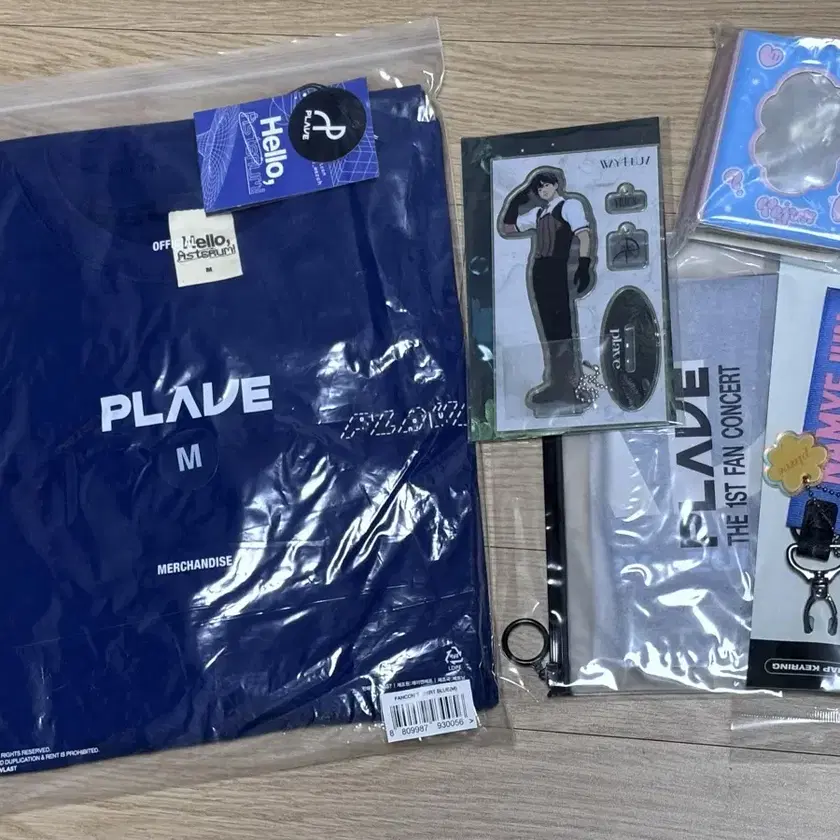 PLAVE | 플레이브 PLAVE Eunho Hamin binder (includes poca) on