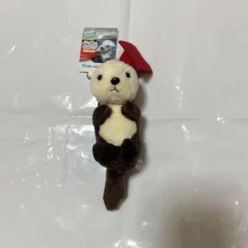 도바 수족관의 랏코